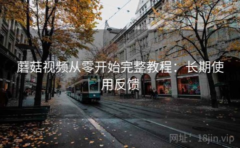 蘑菇视频从零开始完整教程：长期使用反馈