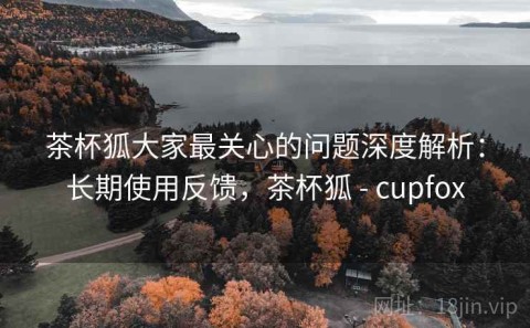 茶杯狐大家最关心的问题深度解析：长期使用反馈，茶杯狐 - cupfox