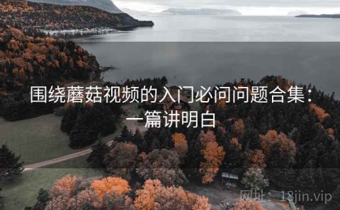 围绕蘑菇视频的入门必问问题合集：一篇讲明白