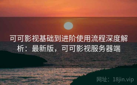 可可影视基础到进阶使用流程深度解析：最新版，可可影视服务器端