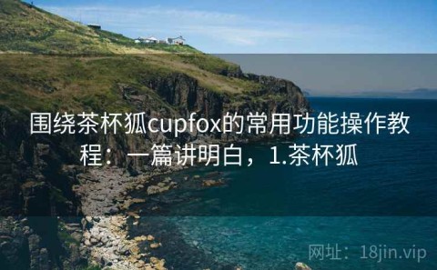 围绕茶杯狐cupfox的常用功能操作教程：一篇讲明白，1.茶杯狐