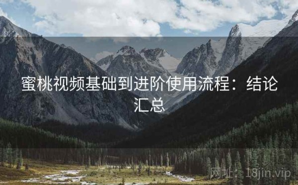 蜜桃视频基础到进阶使用流程：结论汇总
