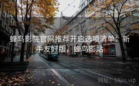 蜂鸟影院官网推荐开启选项清单：新手友好版，蜂鸟影站