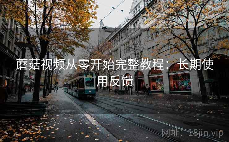 蘑菇视频从零开始完整教程：长期使用反馈