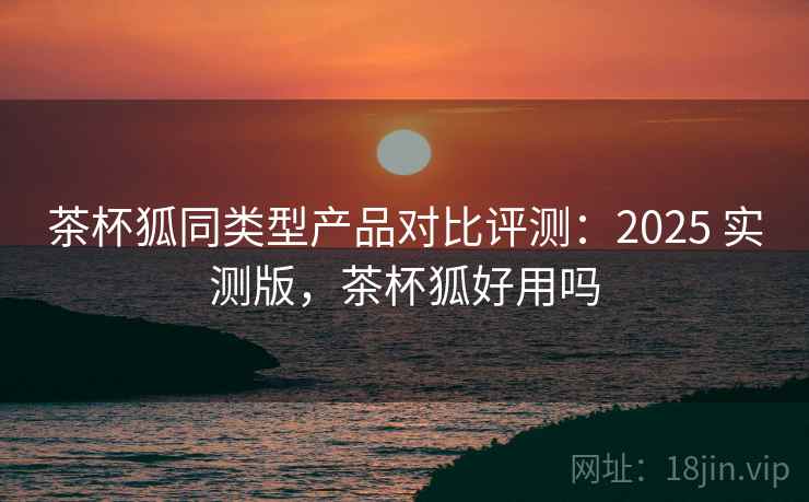 茶杯狐同类型产品对比评测:2025 实测版,茶杯狐好用吗 茶杯狐同类型产品对比评测:2025 实测版,茶杯狐好用吗